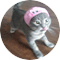 Alt Image